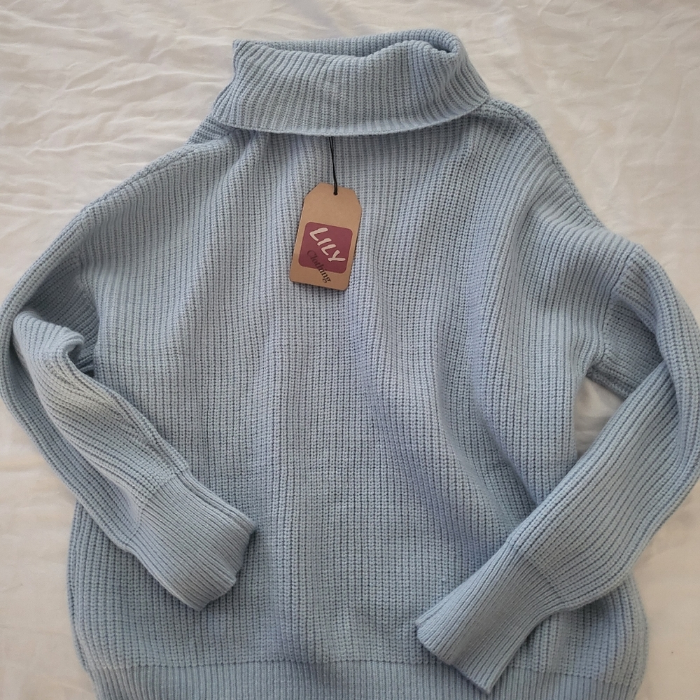 SexyModest turtleneck